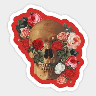 garden skull t-shirt Sticker